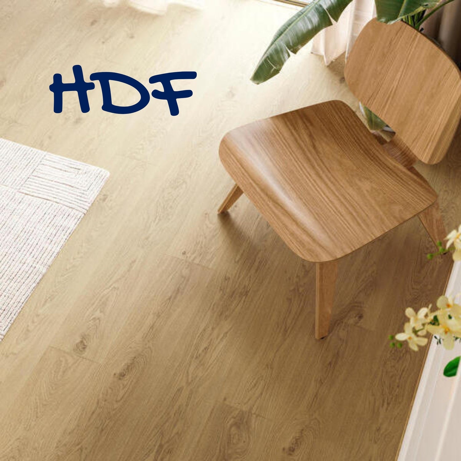 HDF