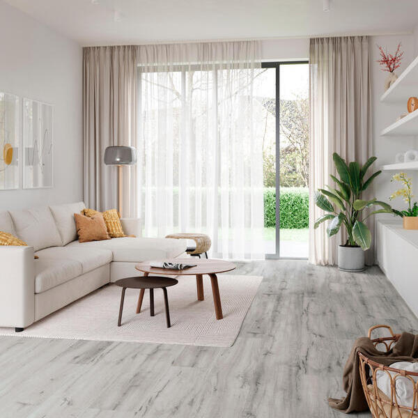 Corsica Oak