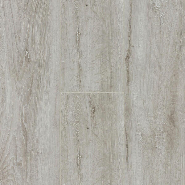 Corsica Oak
