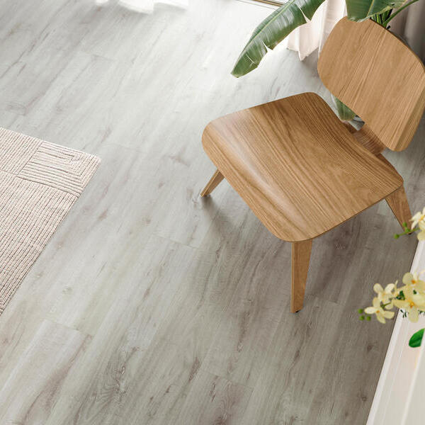 Corsica Oak
