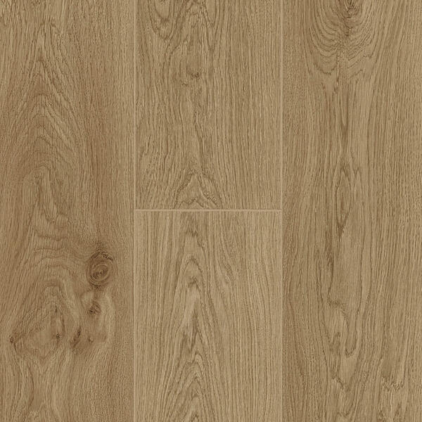 Lotus Oak