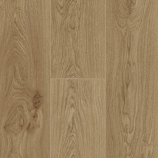 Lotus Oak