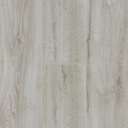 Corsica Oak