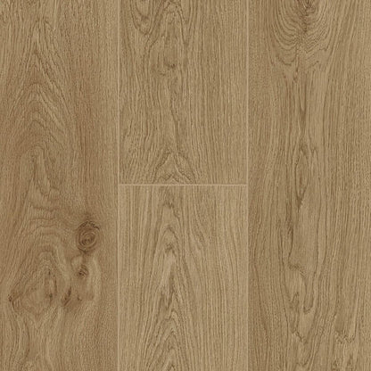 Lotus Oak