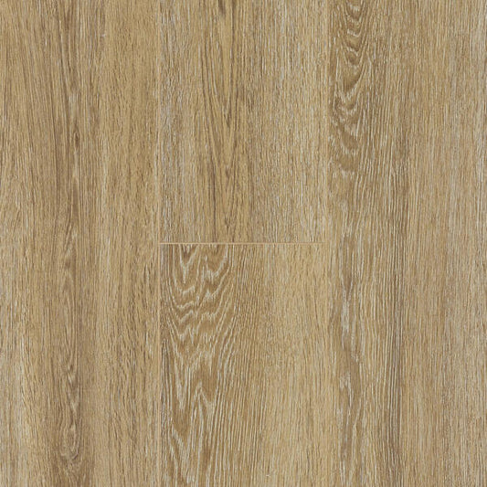 Puccini Oak